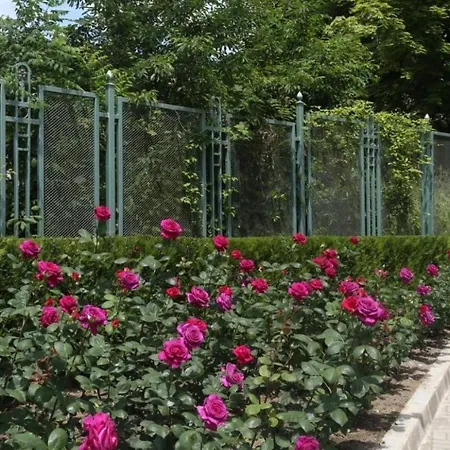 Splendida Sea Apart-splendid Complex